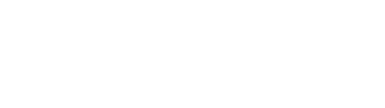 FintechBI